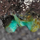 A stalactite formation in a Hawaiian cave system from this study with copper minerals and white microbial colonies.